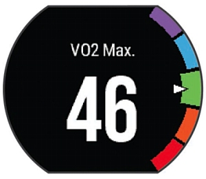 FA235_VO2Max